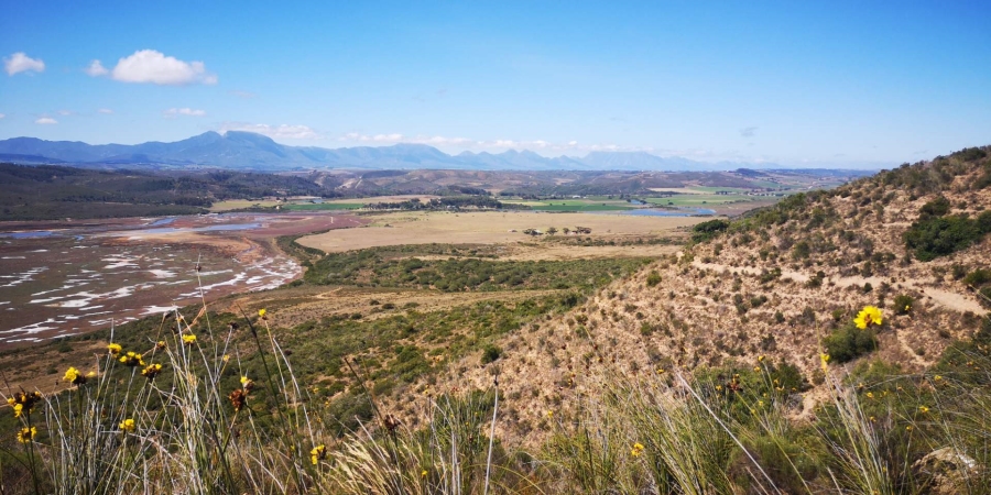 4 Bedroom Property for Sale in Outeniquasbosch Western Cape